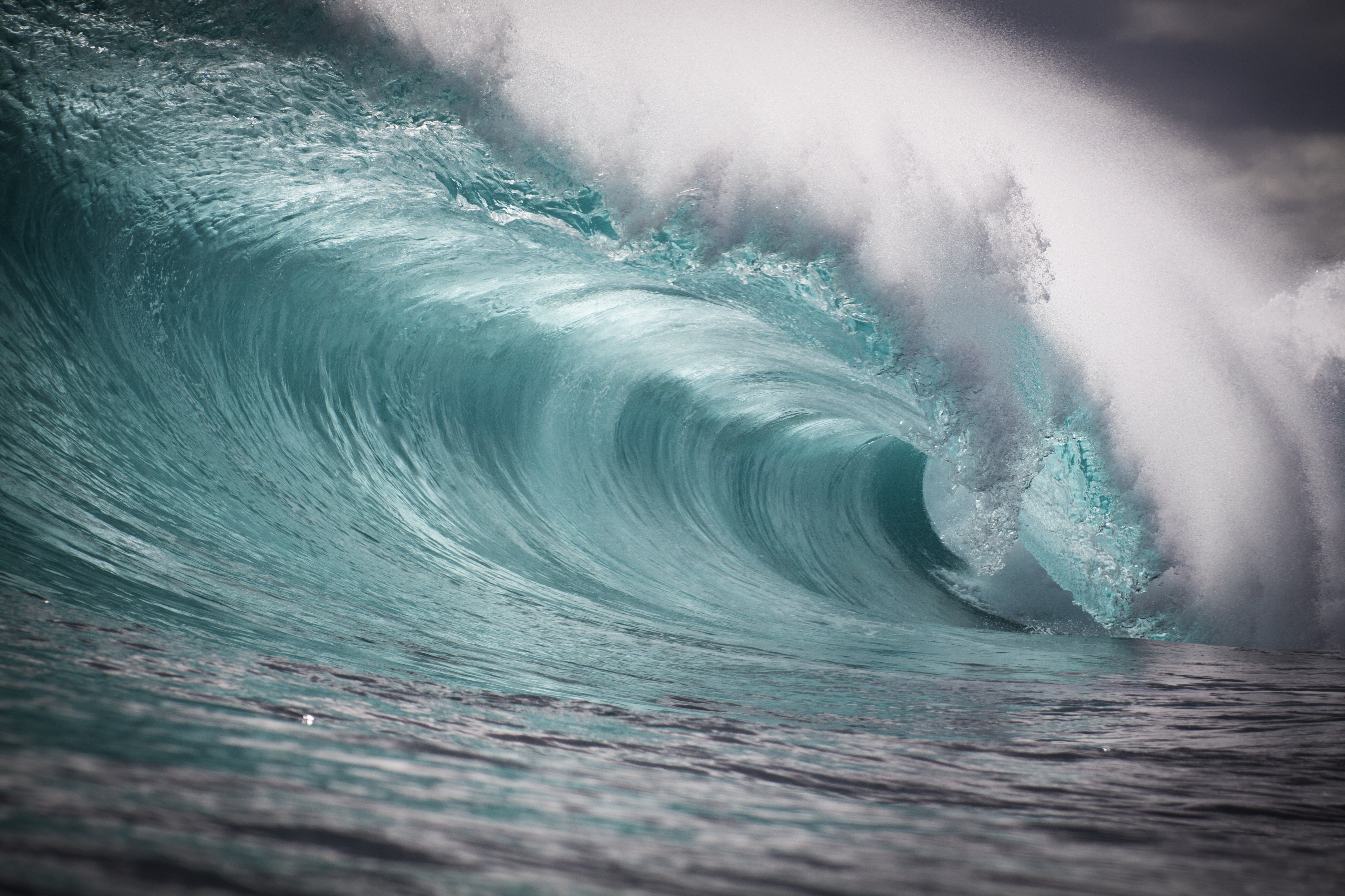 cette vague vierge est parfaite par sa forme et sa lumière, il se dégage force et puissance
